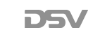 DSV logo