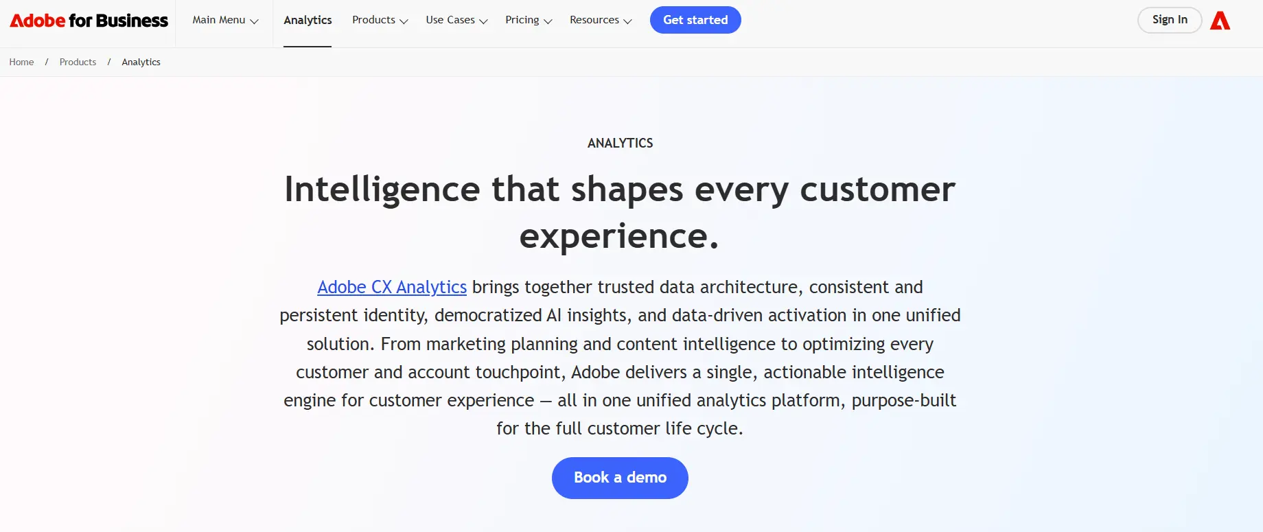 Best Google Ads Integrations - Adobe Analytics