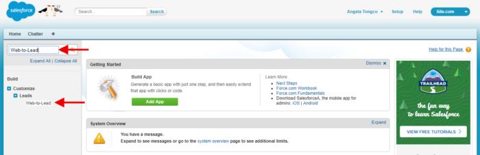 Salesforce web-to-lead